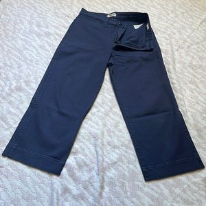 Madewell Slim Emmett Wide Leg Crop size 30